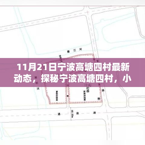 第2856页