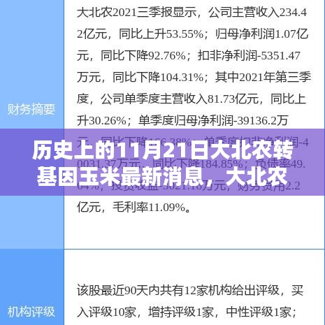 大北农转基因玉米，11月21日的历史性瞬间与最新消息揭秘