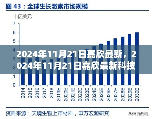 2024年11月21日嘉欣科技最新展望，未来趋势解析
