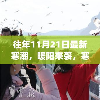 寒潮中的暖阳，温馨故事回顾