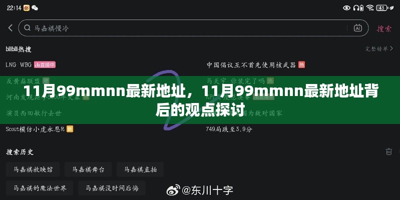 11月99mmnn最新地址背后的观点探讨与解析