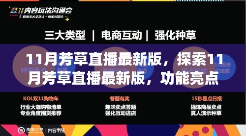 11月芳草直播最新版深度解析，功能亮点与用户体验