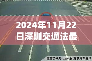 虎视眈眈 第16页