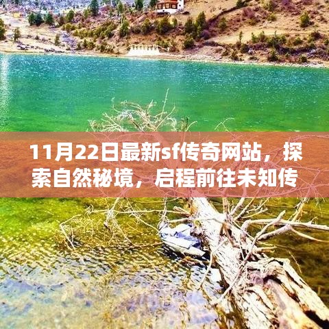 最新SF传奇网站探险，探索自然秘境，追寻未知传奇，寻觅内心宁静与平和