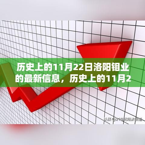 历史上的11月22日洛阳钼业最新动态及其深远影响深度解析