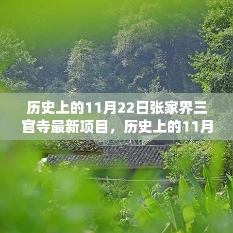 张家界三官寺最新项目历史沿革与社会影响争议分析，11月22日最新进展报道
