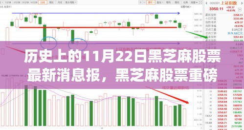11月22日黑芝麻股票黑科技革新报道，科技引领未来，最新产品体验报告发布