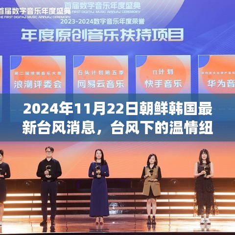 台风下的温情纽带，朝鲜半岛秋日故事