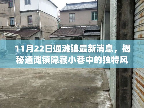 揭秘通滩镇隐藏小巷的特色小店，最新故事与独特风味