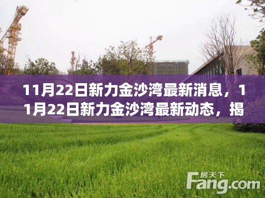 揭秘，新力金沙湾最新进展与未来展望（最新动态更新）