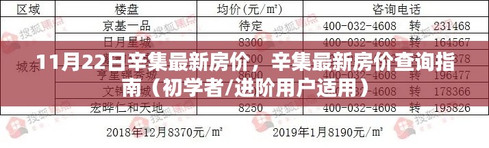 辛集最新房价指南，初学者与进阶用户适用的查询指南（11月22日版）