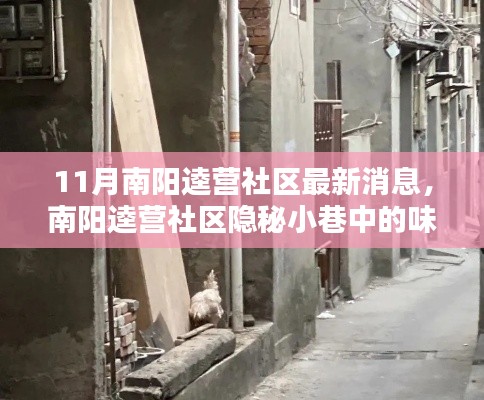 目不转睛 第14页