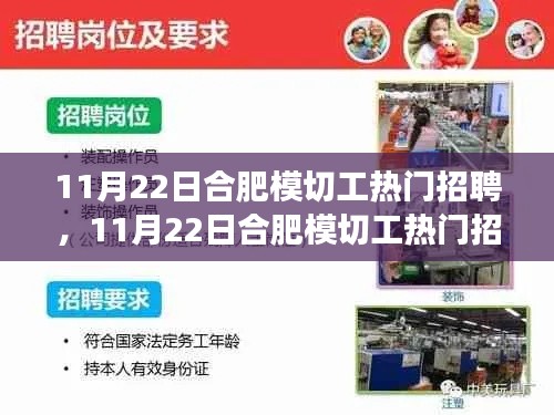 合肥模切工热门招聘日，绿色求职之旅，寻找内心平静的开始