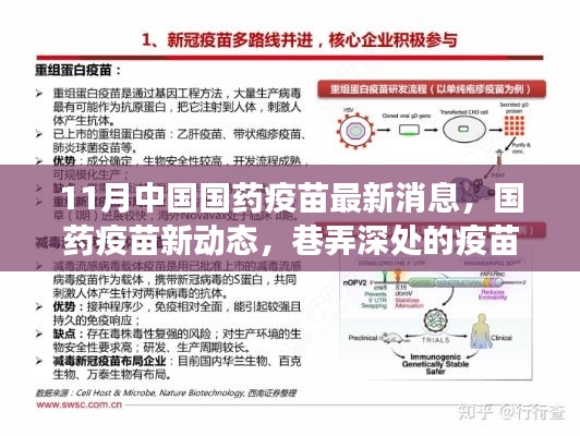 国药疫苗最新动态揭秘，巷弄深处的疫苗之光与隐藏小店的奇妙之旅