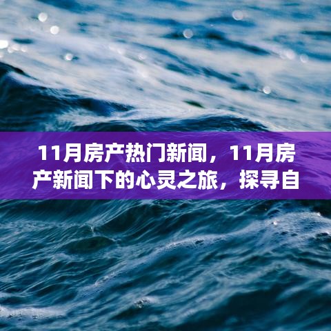 11月房产新闻热点，探寻自然美景，重拾内心宁静的力量之旅