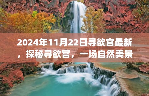 探秘寻欲宫，自然美景的心灵之旅（最新报道）
