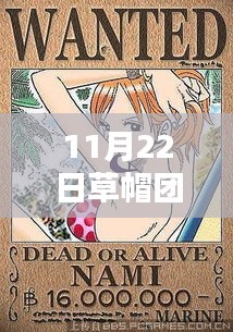 深度评测与详细介绍，11月22日草帽团最新悬赏集数揭晓！