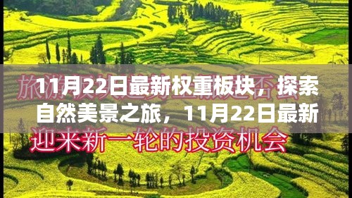 11月22日权重板块探索之旅，自然美景引领内心宁静与平和的征途