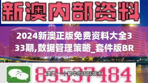 2024新澳正版免费资料大全333期,数据管理策略_套件版BRG11.97