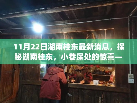 湖南桂东最新探秘，小巷深处的惊喜特色小店揭秘（11月22日更新）