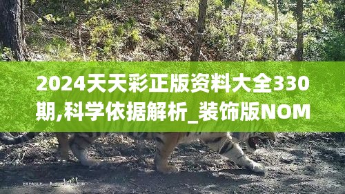 2024天天彩正版资料大全330期,科学依据解析_装饰版NOM11.79