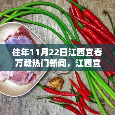 江西宜春万载历年11月22日热点新闻回顾与探讨