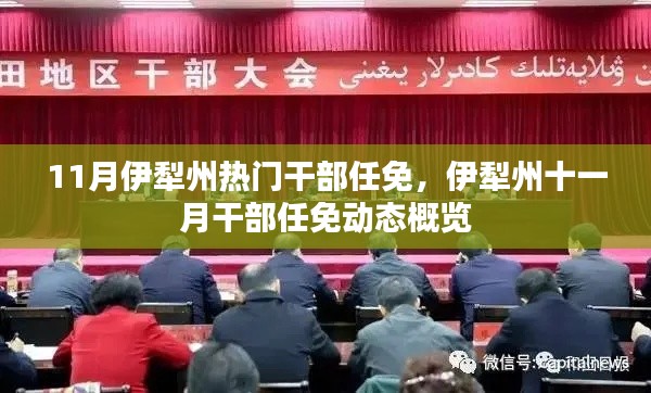 伊犁州十一月干部任免动态，热门干部任免概览