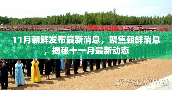 揭秘朝鲜最新动态，十一月消息聚焦