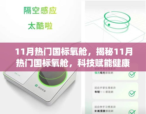 揭秘，科技赋能下的11月热门国标氧舱，引领健康呼吸新境界