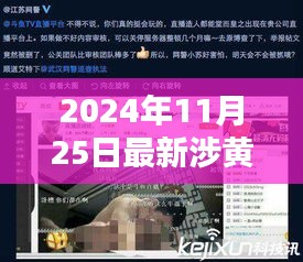 揭秘涉黄直播平台背后的影响及应对之道，深度探讨最新涉黄直播平台现象（2024年）