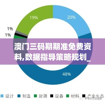 澳门三码期期准免费资料,数据指导策略规划_先锋版PVK13.74