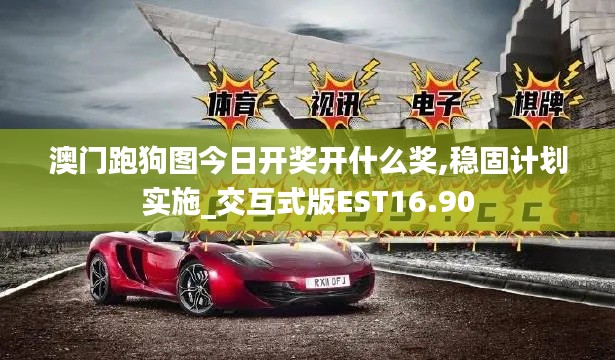 澳门跑狗图今日开奖开什么奖,稳固计划实施_交互式版EST16.90