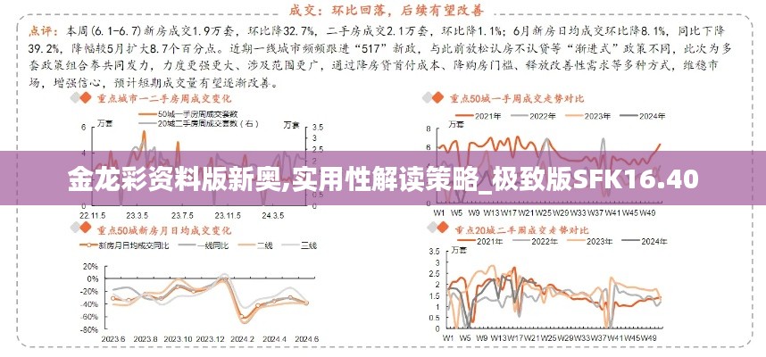 金龙彩资料版新奥,实用性解读策略_极致版SFK16.40