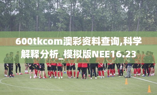 600tkcom澳彩资料查询,科学解释分析_模拟版NEE16.23