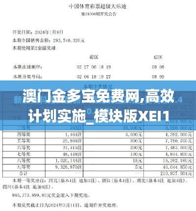 澳门金多宝免费网,高效计划实施_模块版XEI16.38