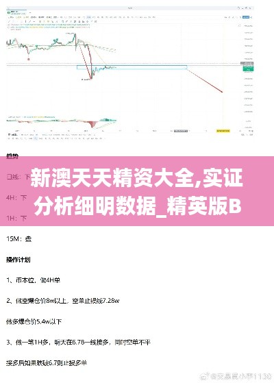 新澳天天精资大全,实证分析细明数据_精英版BLP16.86
