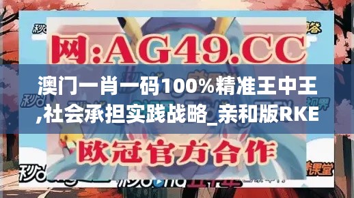 澳门一肖一码100%精准王中王,社会承担实践战略_亲和版RKE16.74