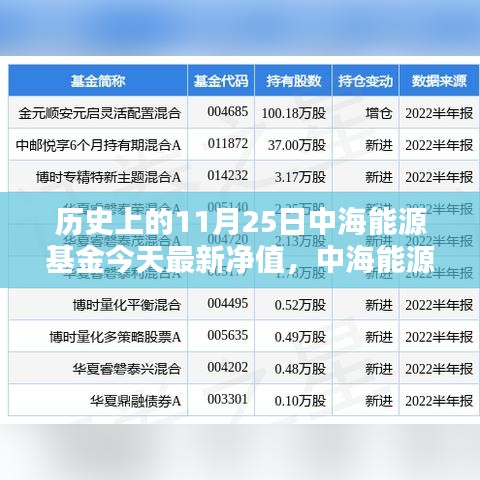 中海能源基金最新净值揭秘，科技引领未来能源新纪元