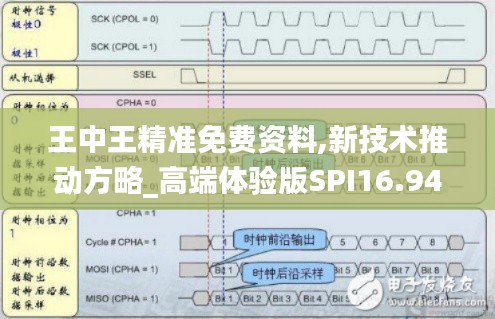 王中王精准免费资料,新技术推动方略_高端体验版SPI16.94