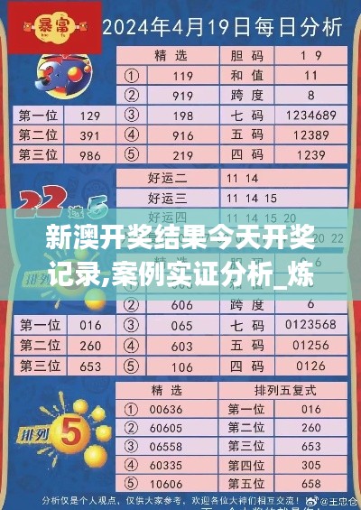 新澳开奖结果今天开奖记录,案例实证分析_炼气境DLR13.94