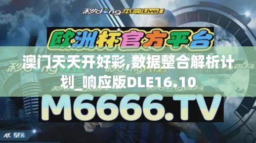澳门天天开好彩,数据整合解析计划_响应版DLE16.10