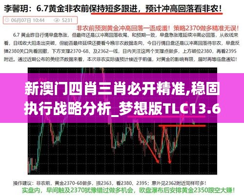 新澳门四肖三肖必开精准,稳固执行战略分析_梦想版TLC13.64