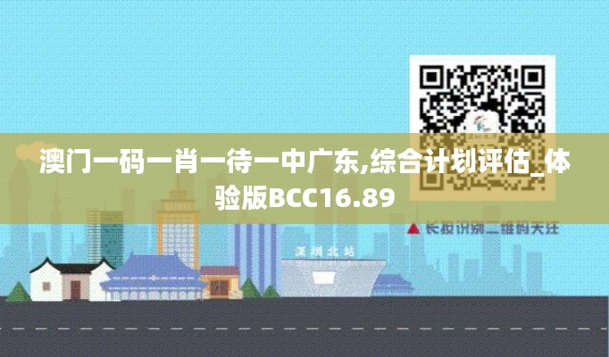 澳门一码一肖一待一中广东,综合计划评估_体验版BCC16.89