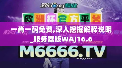 一肖一码免费,深入挖掘解释说明_服务器版WAJ16.6