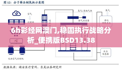 6h彩经网澳门,稳固执行战略分析_便携版BSD13.38