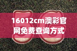 16012cm澳彩官网免费查询方式,具象化表达解说_散热版QXV13.76