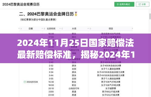 2024年11月25日国家赔偿法最新赔偿标准，揭秘2024年11月25日国家赔偿法最新赔偿标准，深度解读背后的变革逻辑