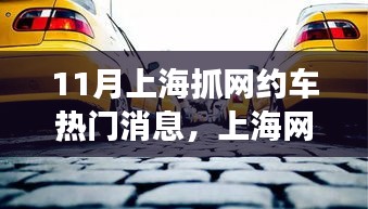 上海网约车新风尚，探索自然美景之旅，重拾内心的宁静与平和
