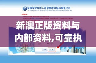 新澳正版资料与内部资料,可靠执行操作方式_套件版WKX16.61