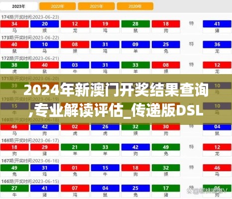 2024年新澳门开奖结果查询,专业解读评估_传递版DSL16.3